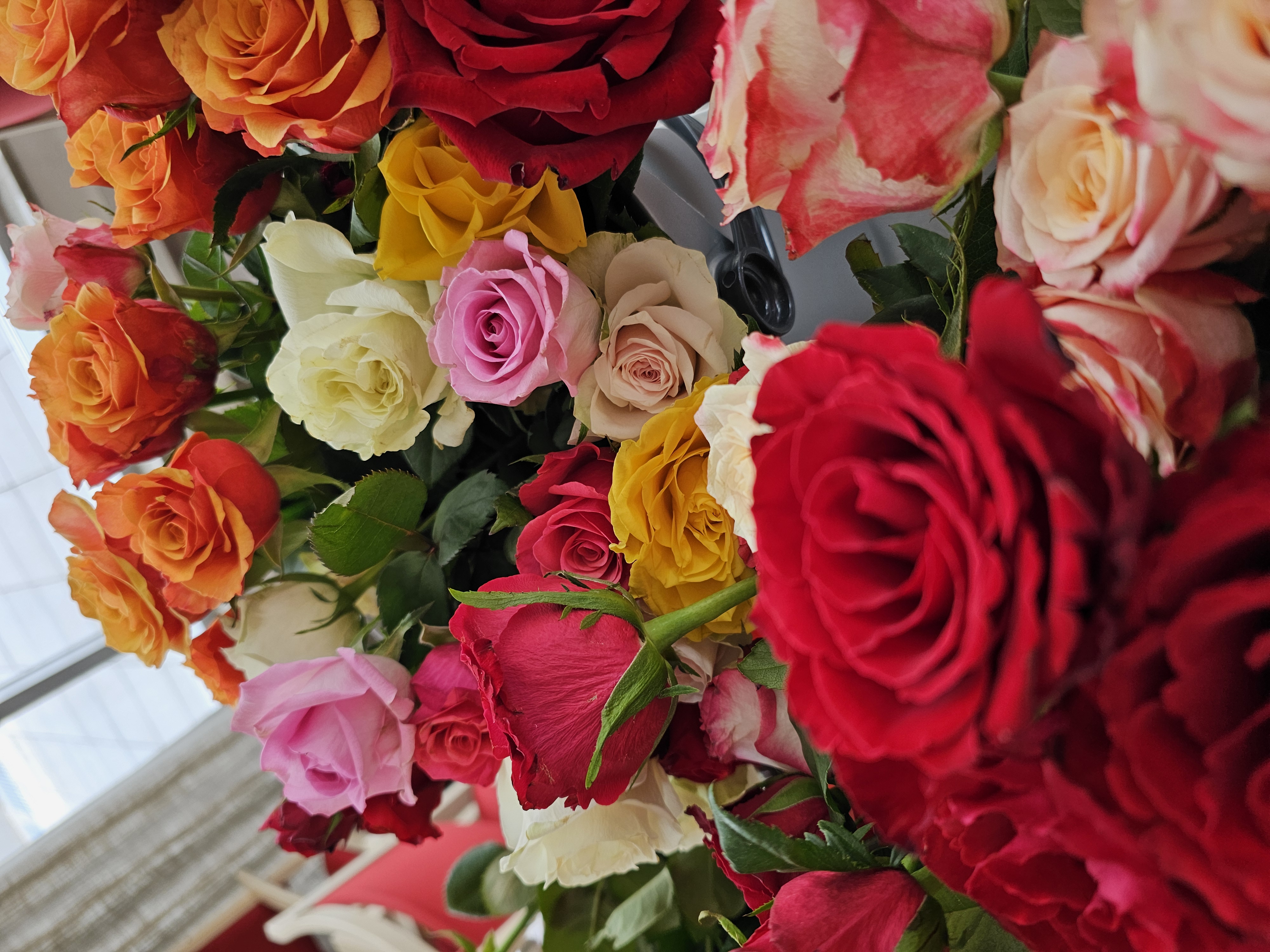 Auf dem Bild ist eine Auswahl verschiedener Rosen zu sehen.